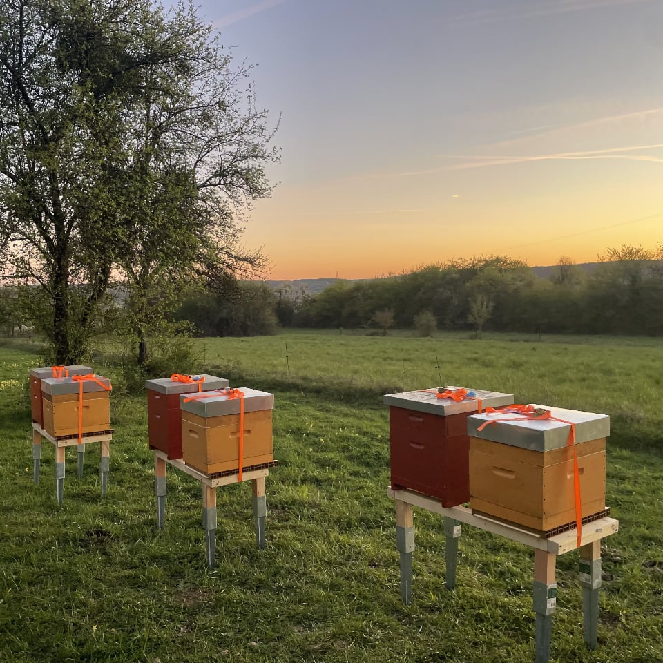 Imkerei Saarbruecken Imkerei Saarbruecken